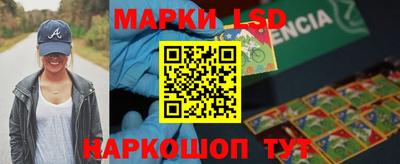 шишки Будённовск