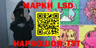 шишки Будённовск