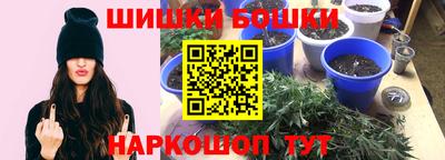 шишки Будённовск