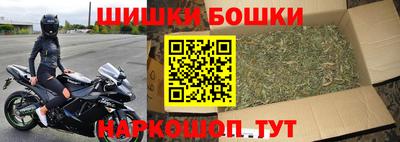 шишки Будённовск